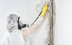 Best Residential Mold Inspection & Testing  in Moorpark, CA